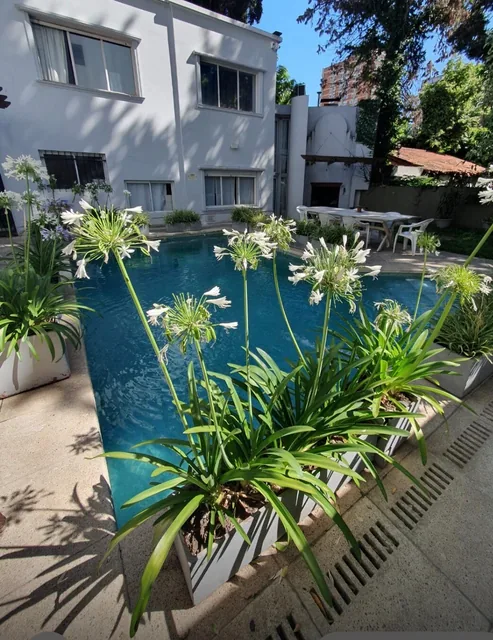 The blue swimming pool surrounded by leafy plants, with the villa behind it.